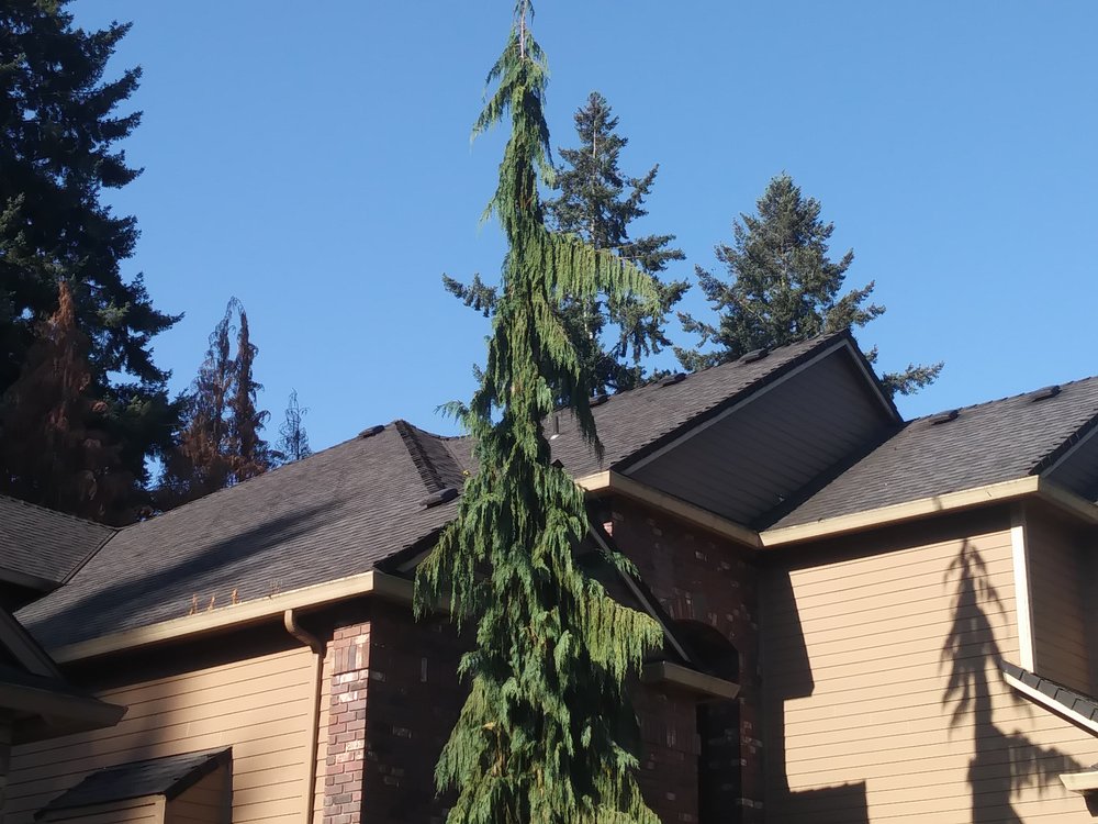 Photo of Exterior Excellence Northwest