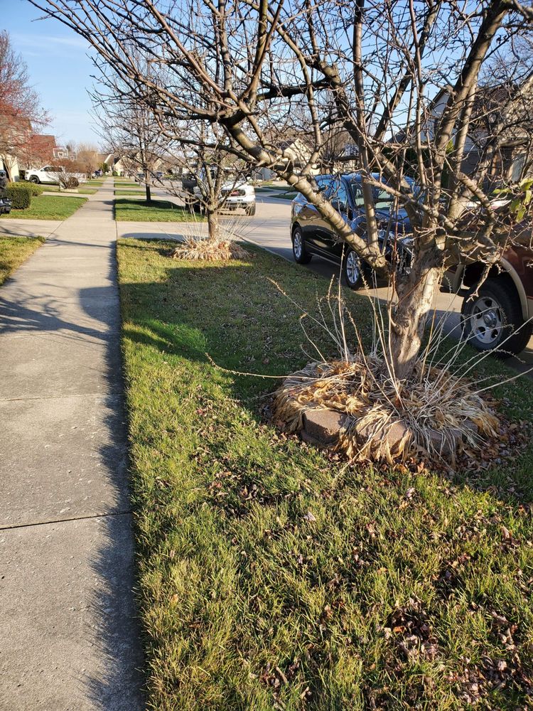 Photo of B&B Lawnscape