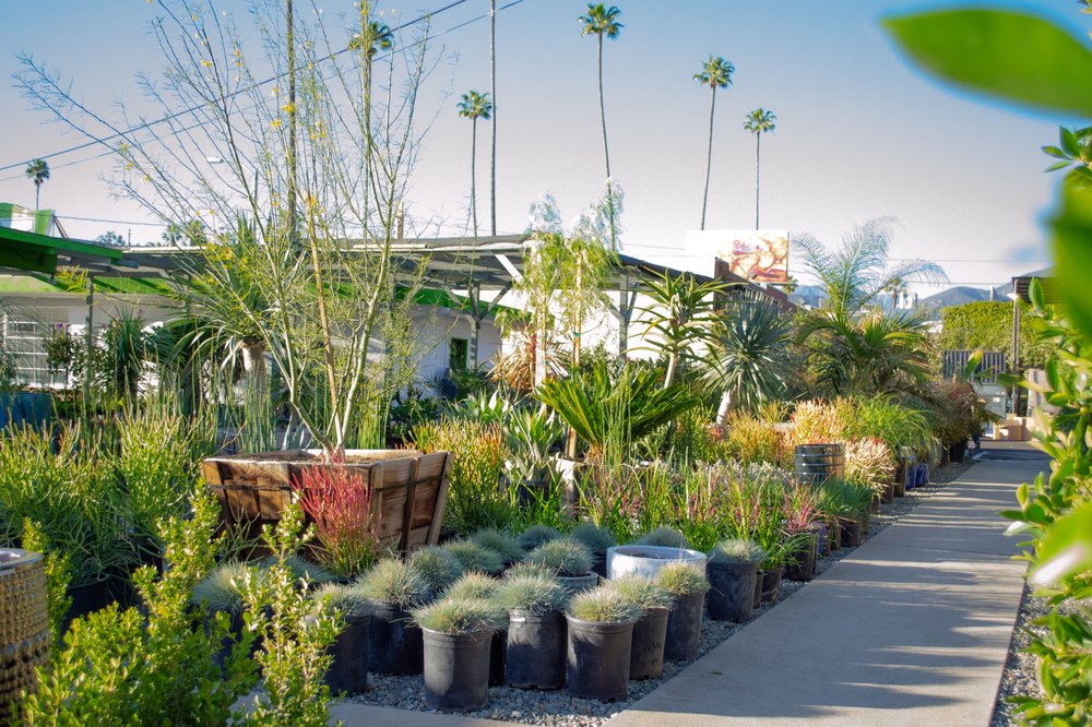 Photo of The Standard Design Group Nurseries