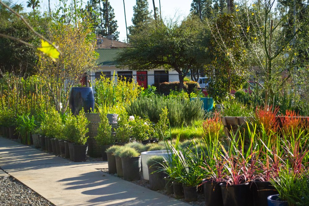 Photo of The Standard Design Group Nurseries