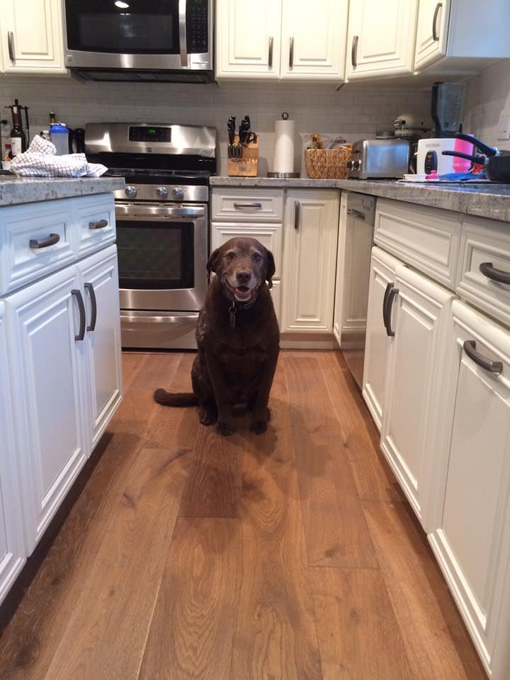 Photo of Precision Flooring