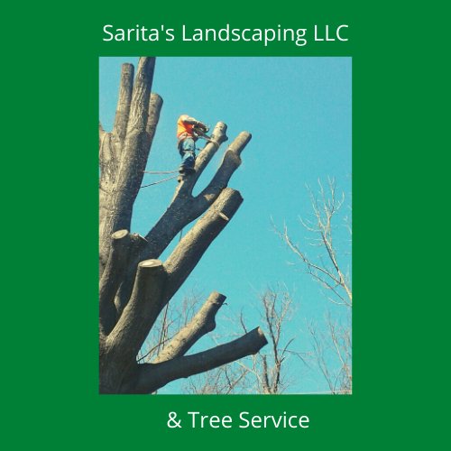 Photo of Sarita's Landscaping