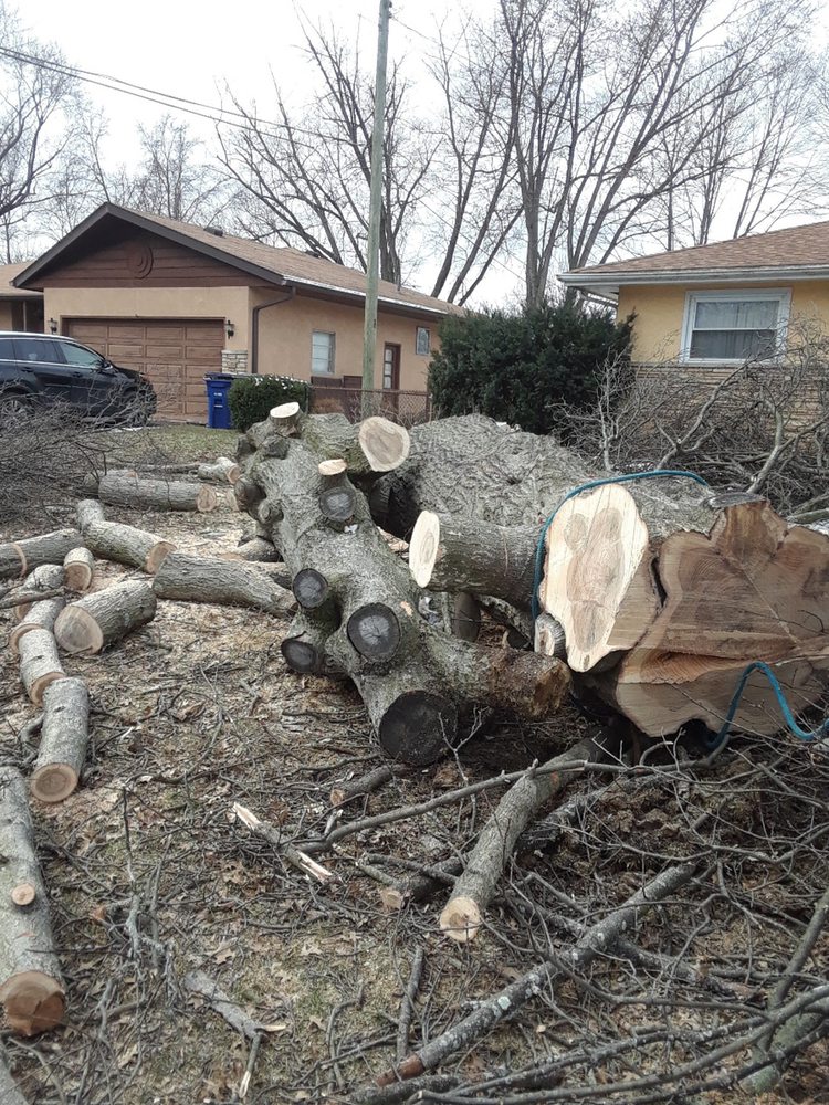 Photo of Sarita's Landscaping