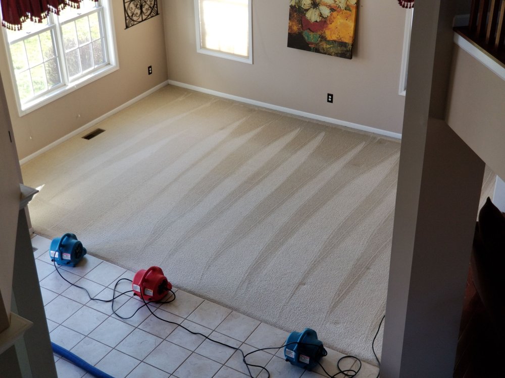 Photo of Premier Performance Carpet Cleaning