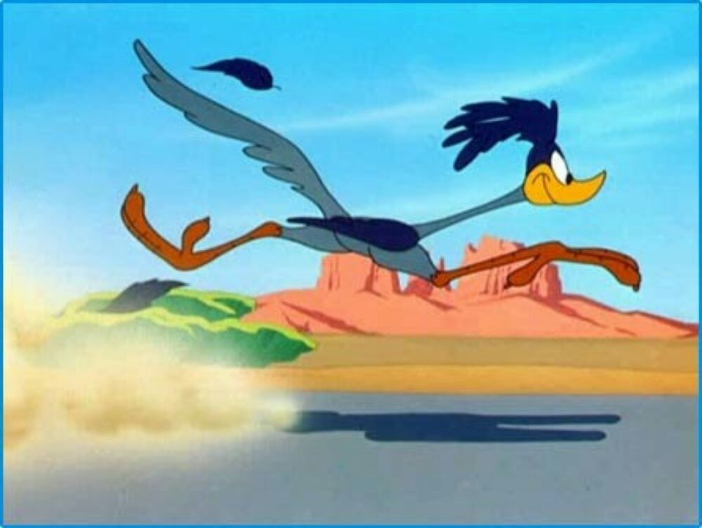 Photo of Road Runner Express Delivery