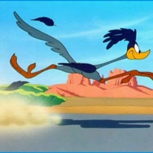 Portland Road Runner Express Delivery