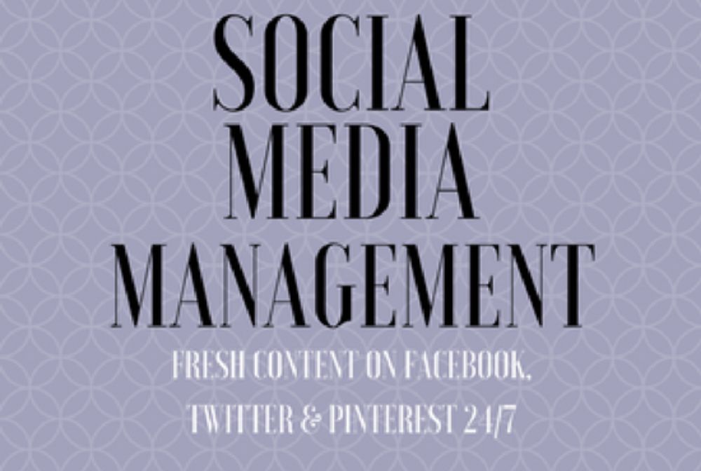 Photo of The Web Silo Online Marketing