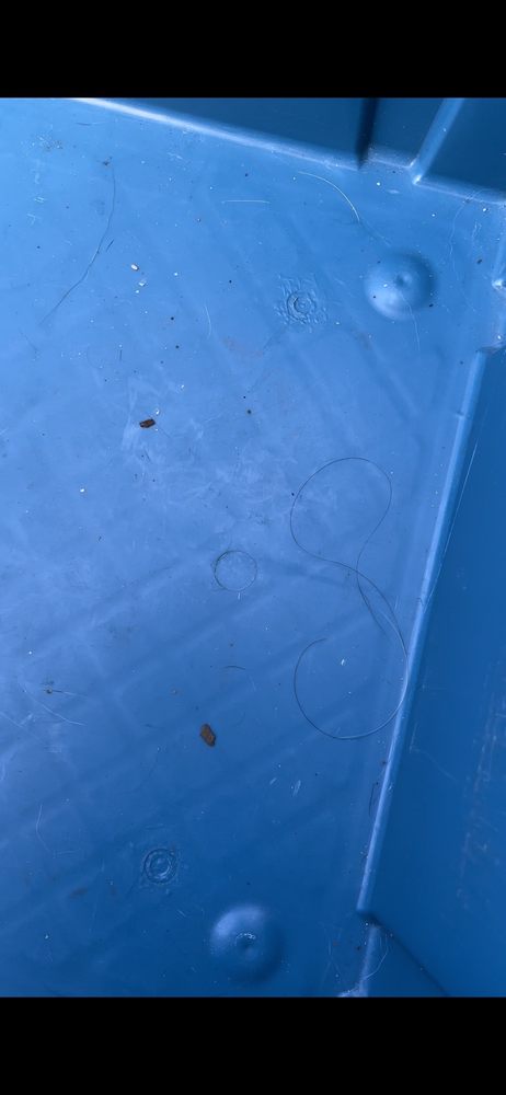Photo of Bin-It
