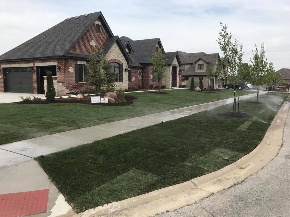 Photo of dallthomas plantscapes