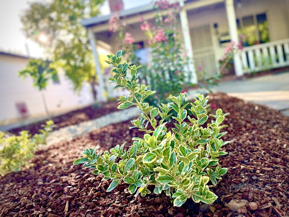 Photo of EatScapes Landscaping
