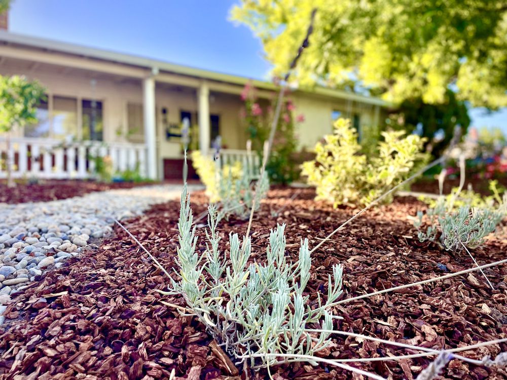 Photo of EatScapes Landscaping