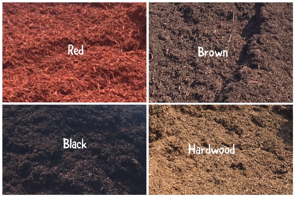 Photo of Landscape & Forestry Services