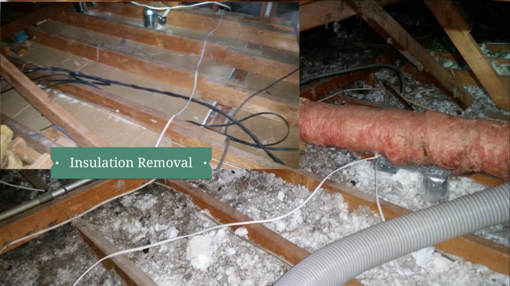 Photo of Dorin's Insulation