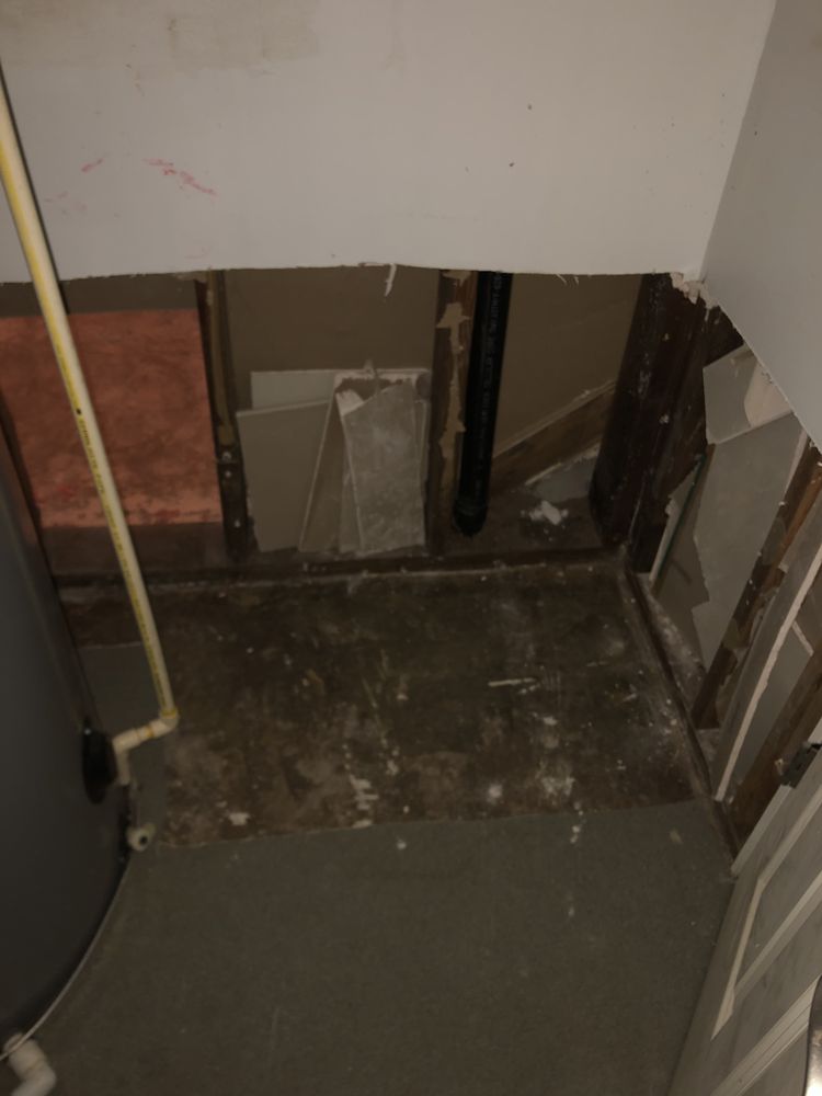 Photo of Restoration 1 of Phoenix