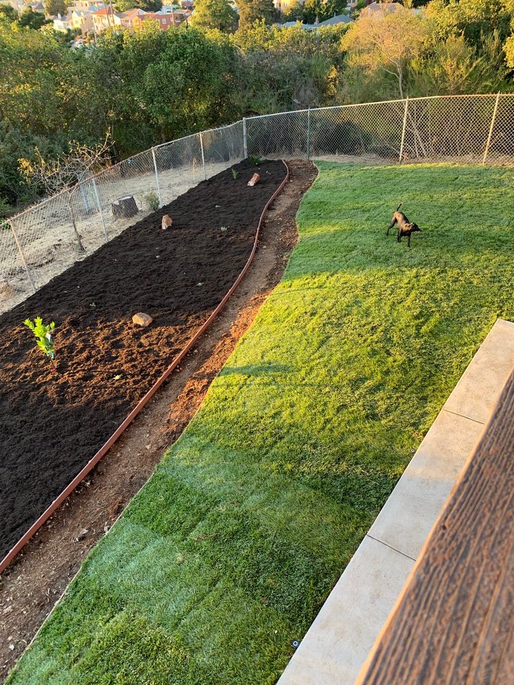 Photo of Best Quality Lawn & Gardening Services