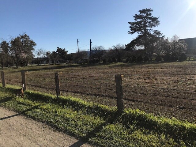 Photo of South County Mowing
