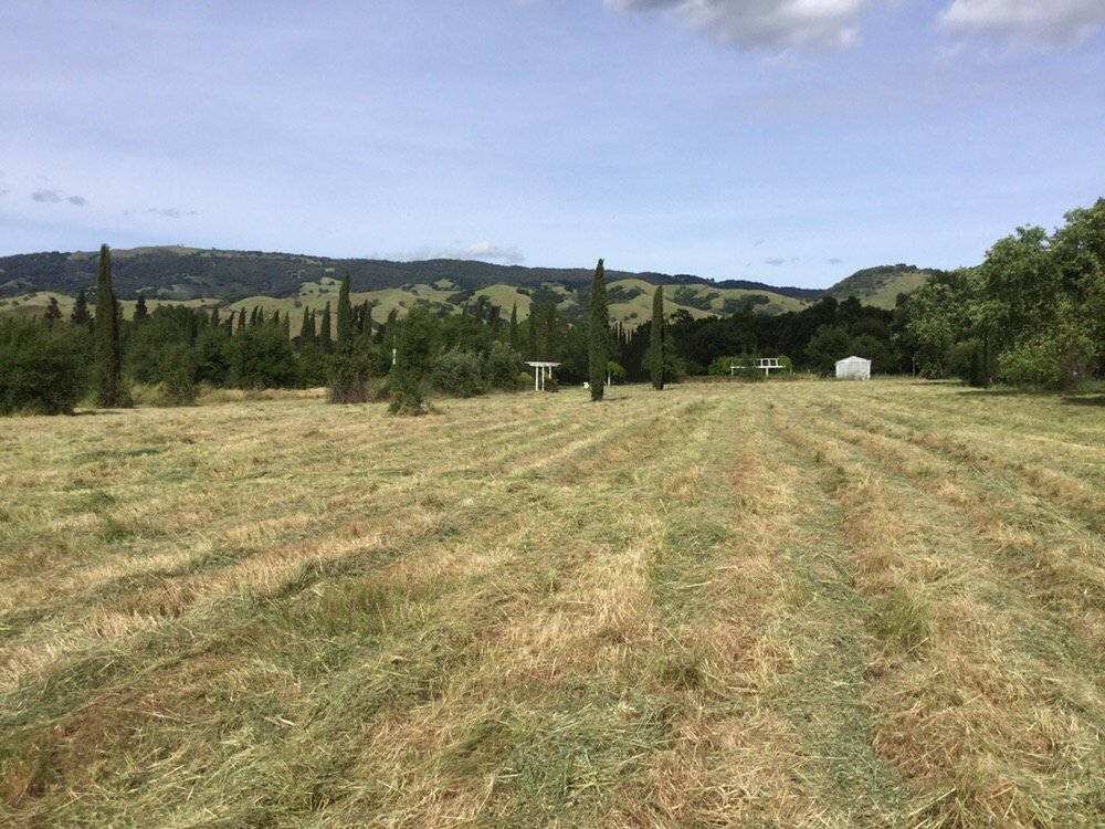Photo of South County Mowing