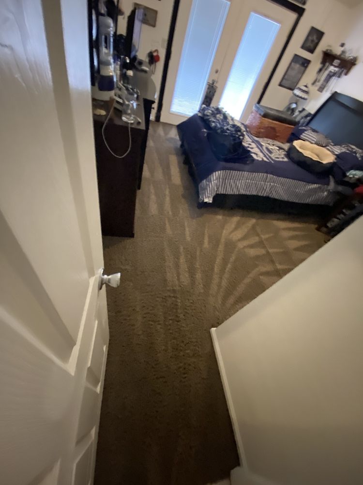 Photo of Mint Carpet Cleaning