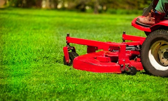 Photo of Steven's Custom Landscape Design & Irrigation
