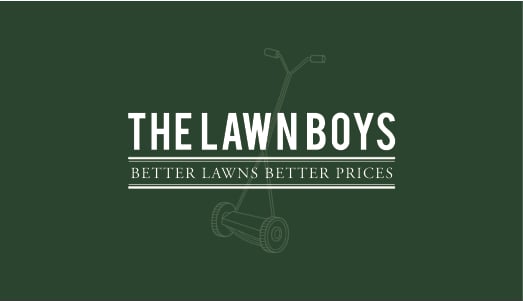 Photo of The Lawn Boys