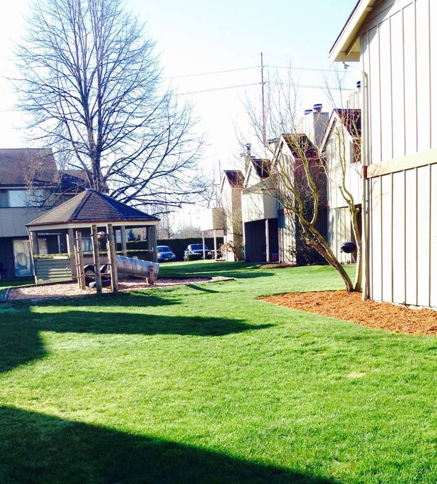 Photo of The Lawn Boys