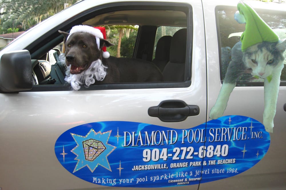 Photo of Diamond Pool Equipment & Service