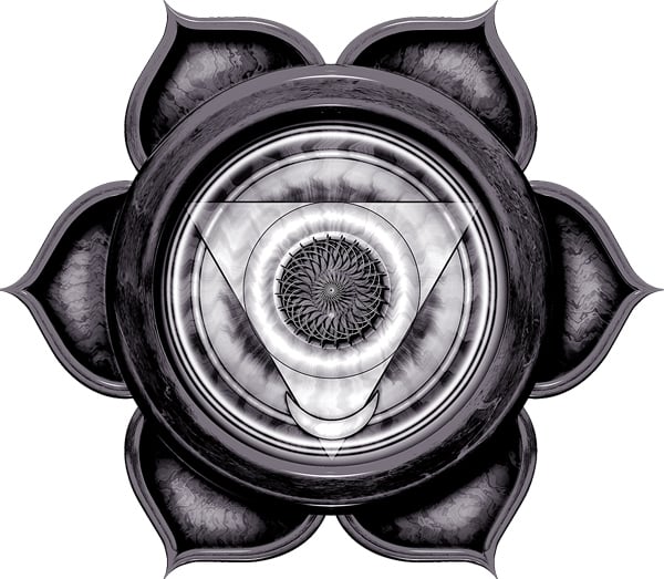 Photo of Waveform Austin