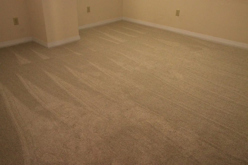 Photo of Spotless Rentals