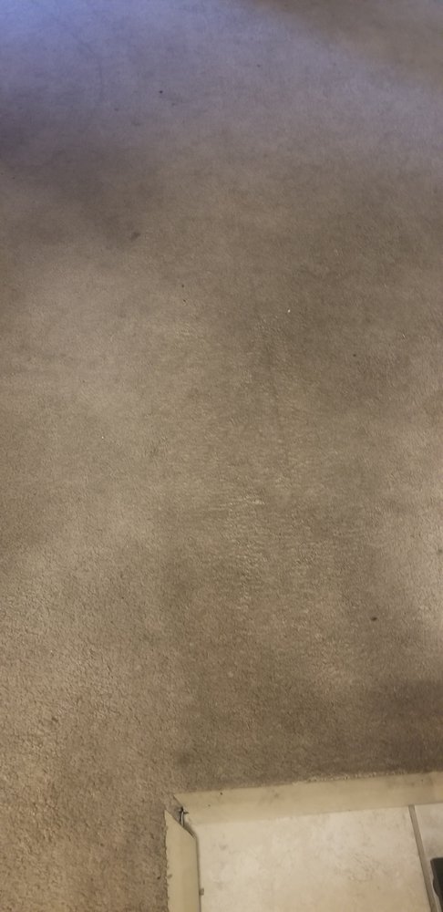 Photo of Jimmy's Professional Carpet Cleaning