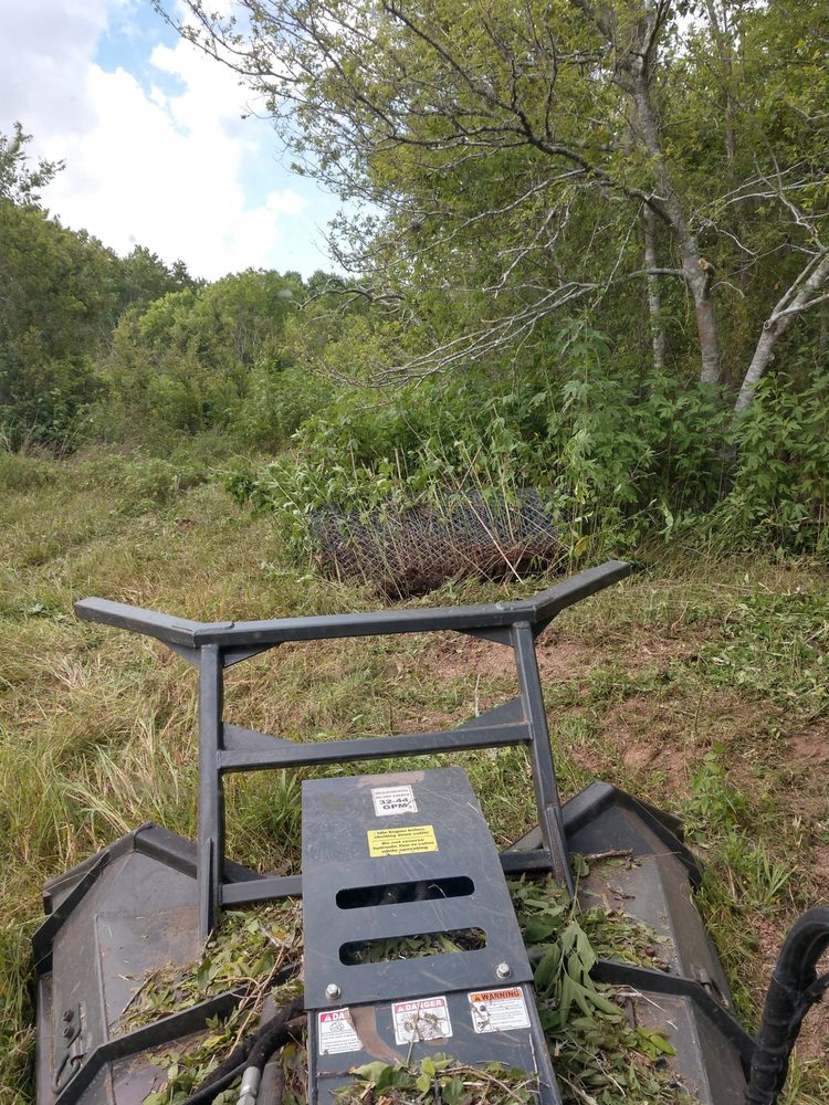 Photo of Ideal Land Services