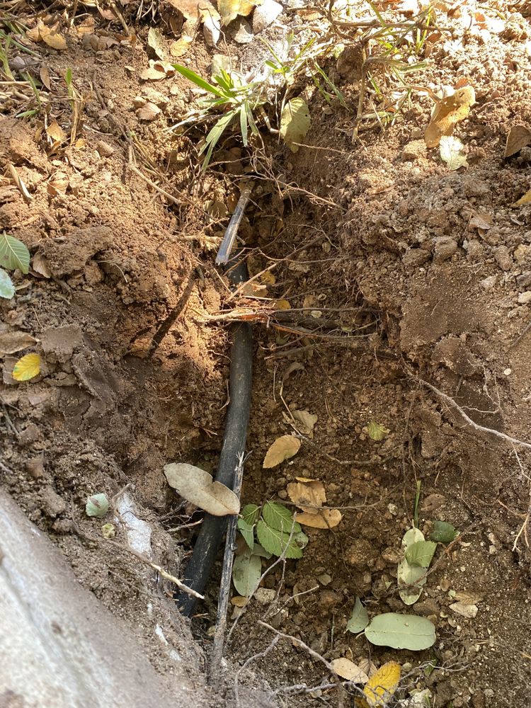 Photo of Eco Irrigation and Landscaping