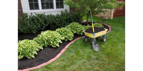 Photo of Gold Lawn Care