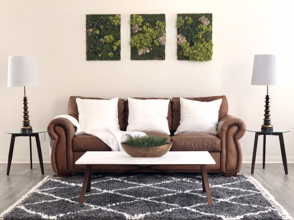 Photo of Aura Collective