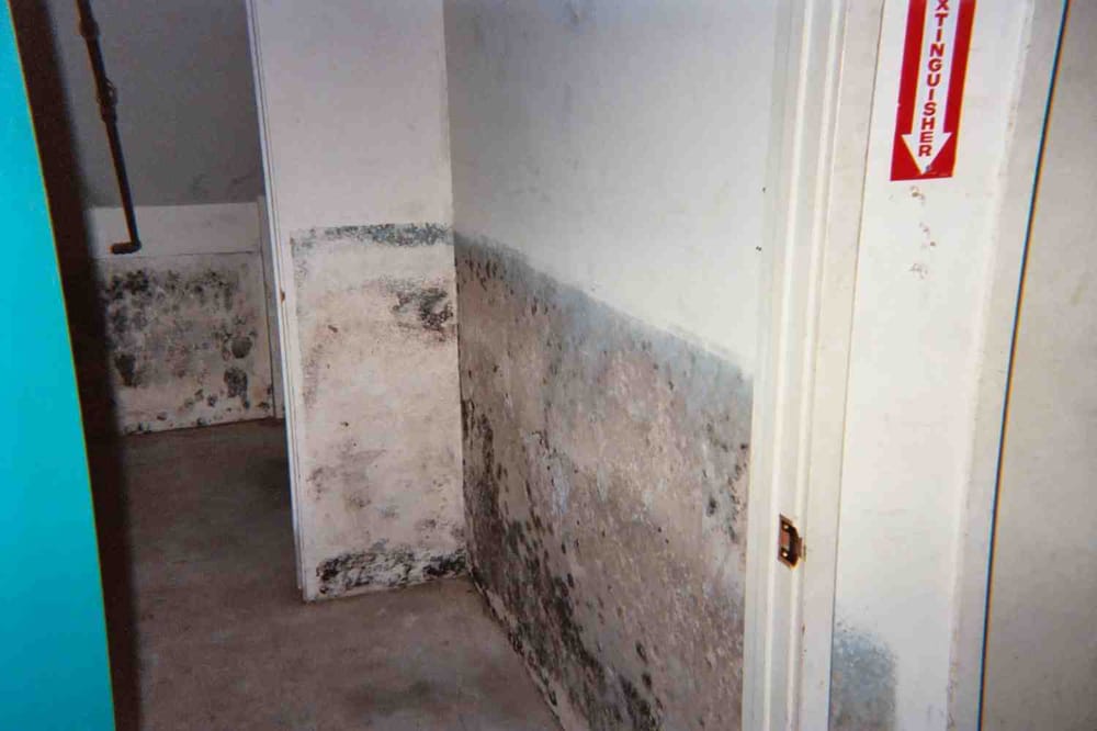 Photo of Able Restoration