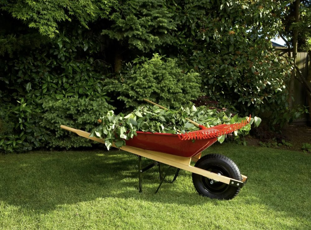 Photo of Young's Lawncare and More