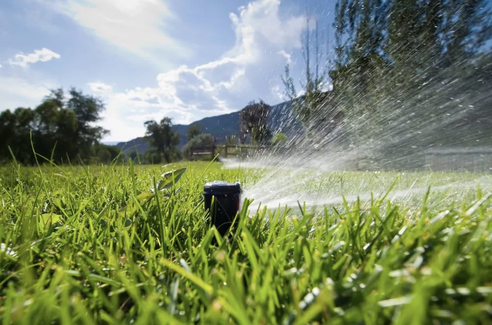 Photo of Young's Lawncare and More