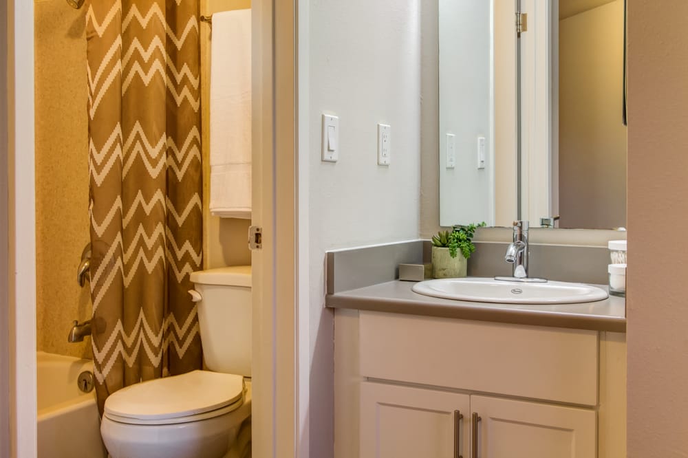 Photo of U-District Student Housing Apex