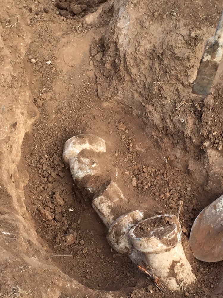 Photo of Pink Plumbing and Sewer
