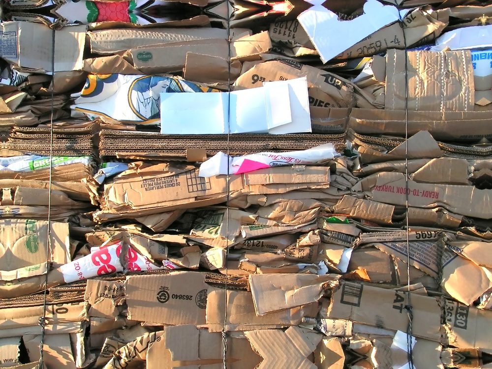 Photo of Clean Collection
