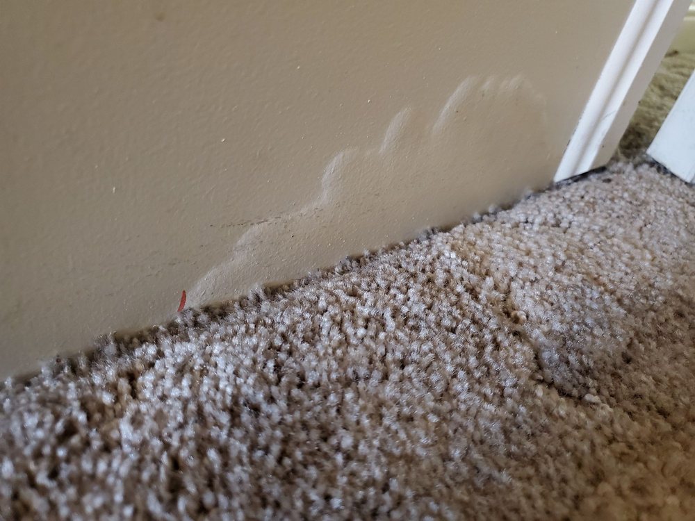 Photo of Clean Steam Carpet Cleaning