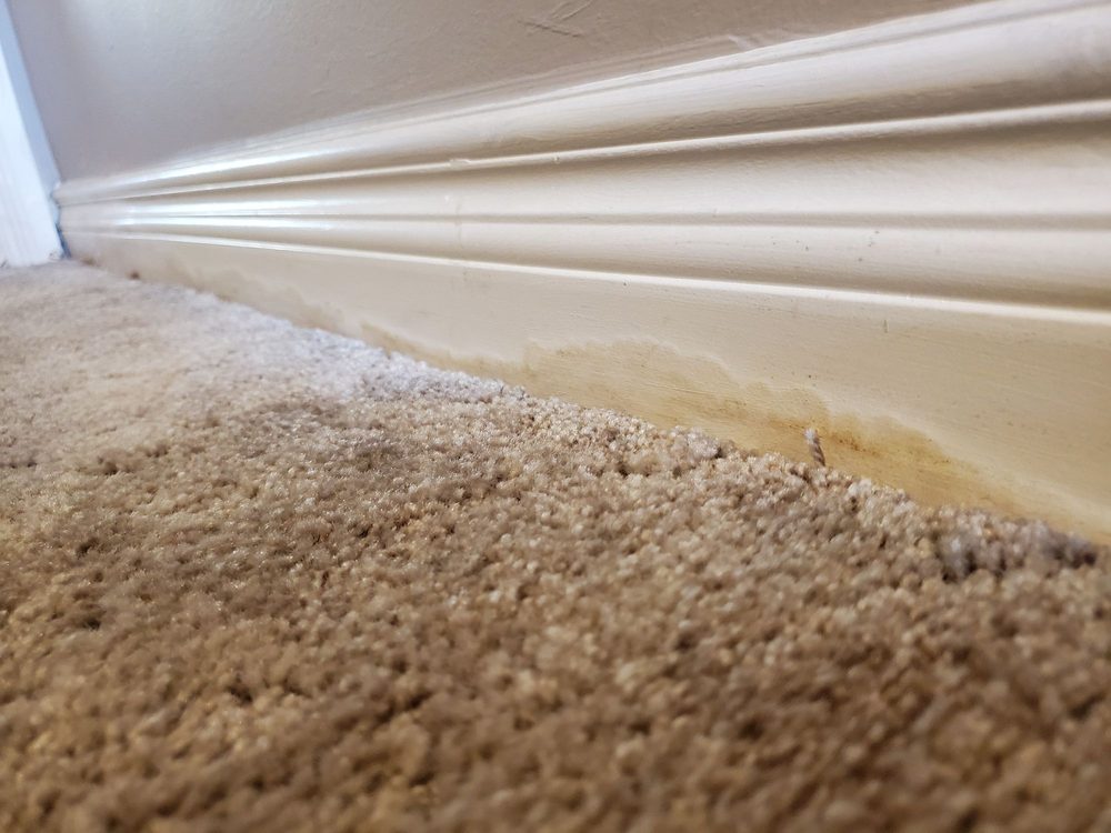 Photo of Clean Steam Carpet Cleaning