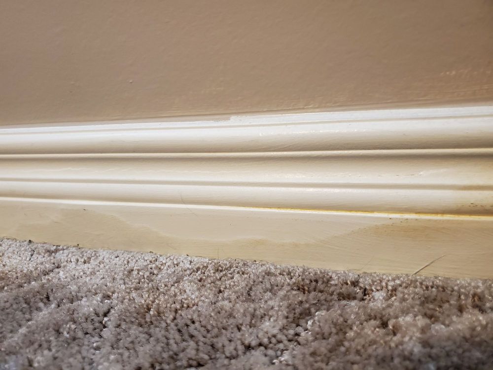 Photo of Clean Steam Carpet Cleaning