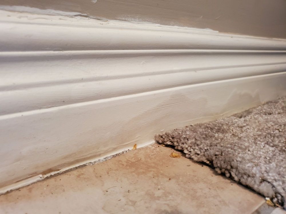 Photo of Clean Steam Carpet Cleaning