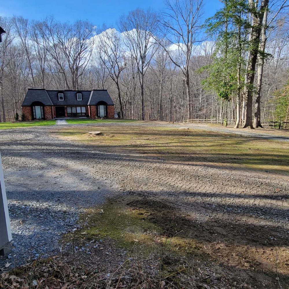 Photo of White Oak Tree Expert