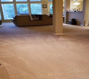 Photo of Stubblefield Carpet Cleaning Services