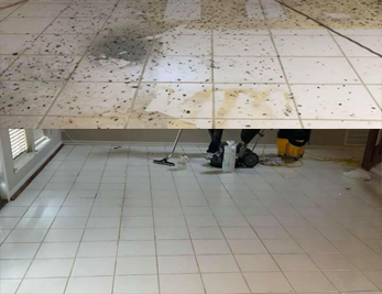 Photo of Stubblefield Carpet Cleaning Services
