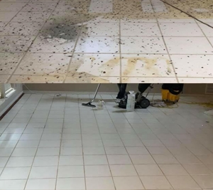 Photo of Stubblefield Carpet Cleaning Services