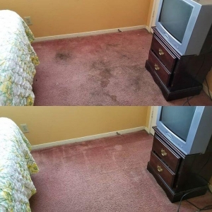Photo of Stubblefield Carpet Cleaning Services