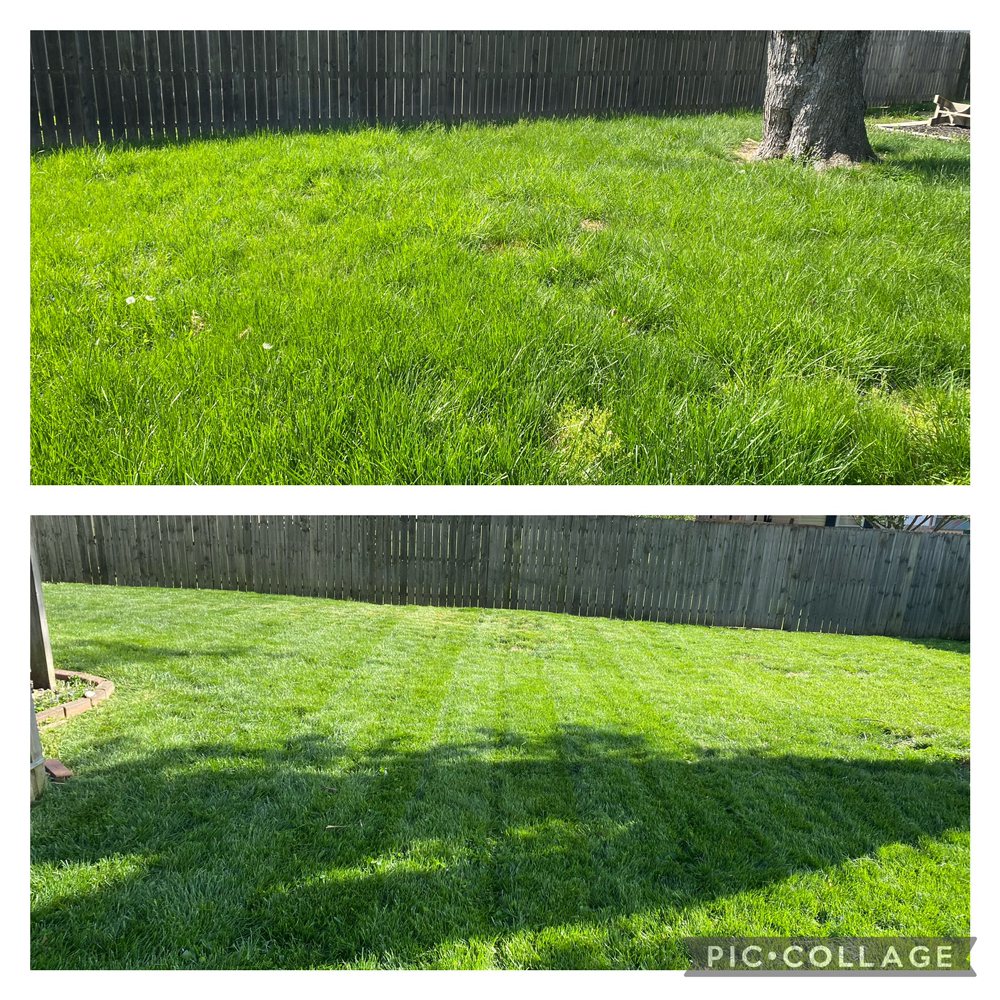 Photo of Corso Lawn Care Services