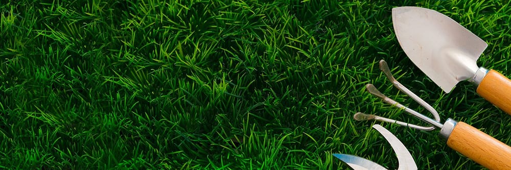 Photo of Banta Landscaping